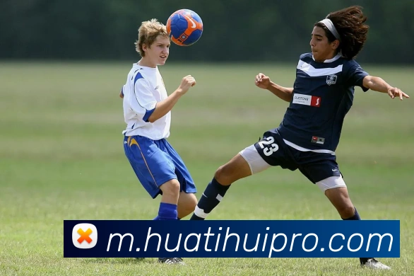 华体会体育发展历程